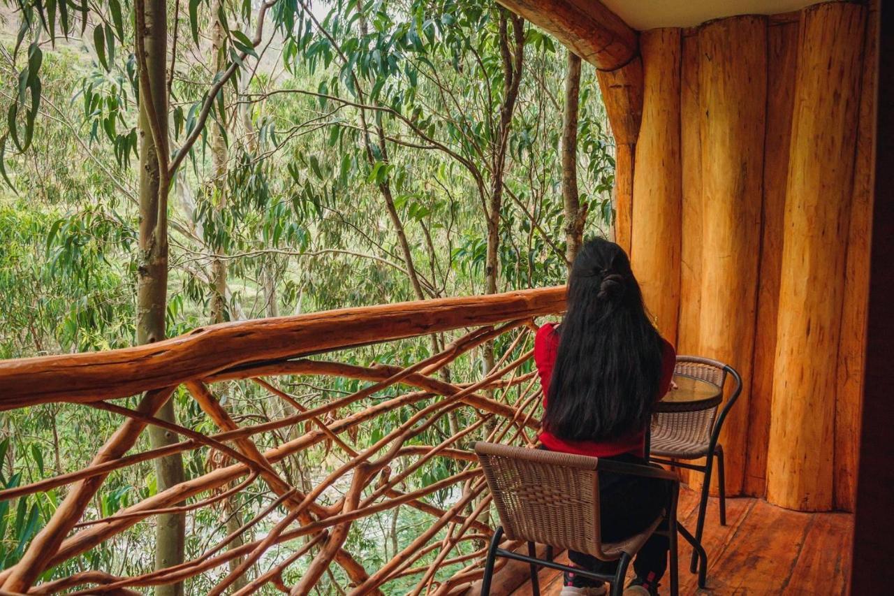 Eco Quechua Lodge Santa Teresa  Zewnętrze zdjęcie