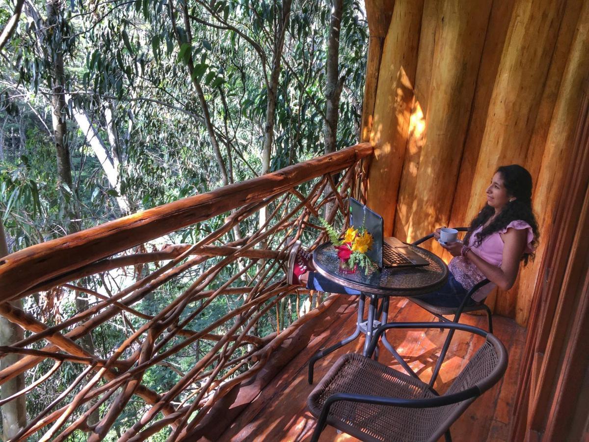 Eco Quechua Lodge Santa Teresa  Zewnętrze zdjęcie